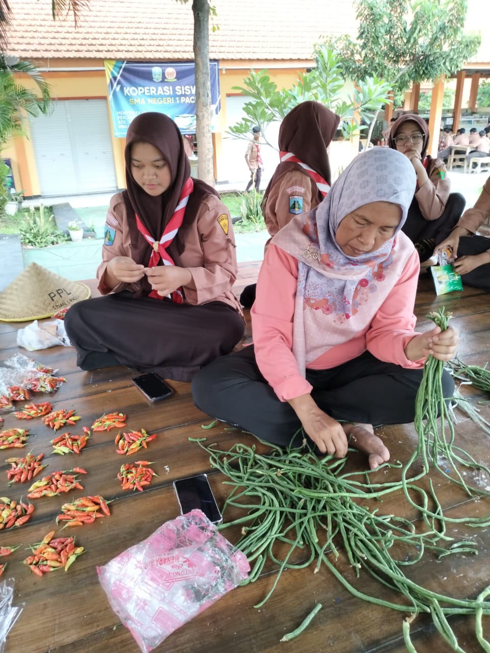 WhatsApp Image 2025-09-15 at 09.14.32