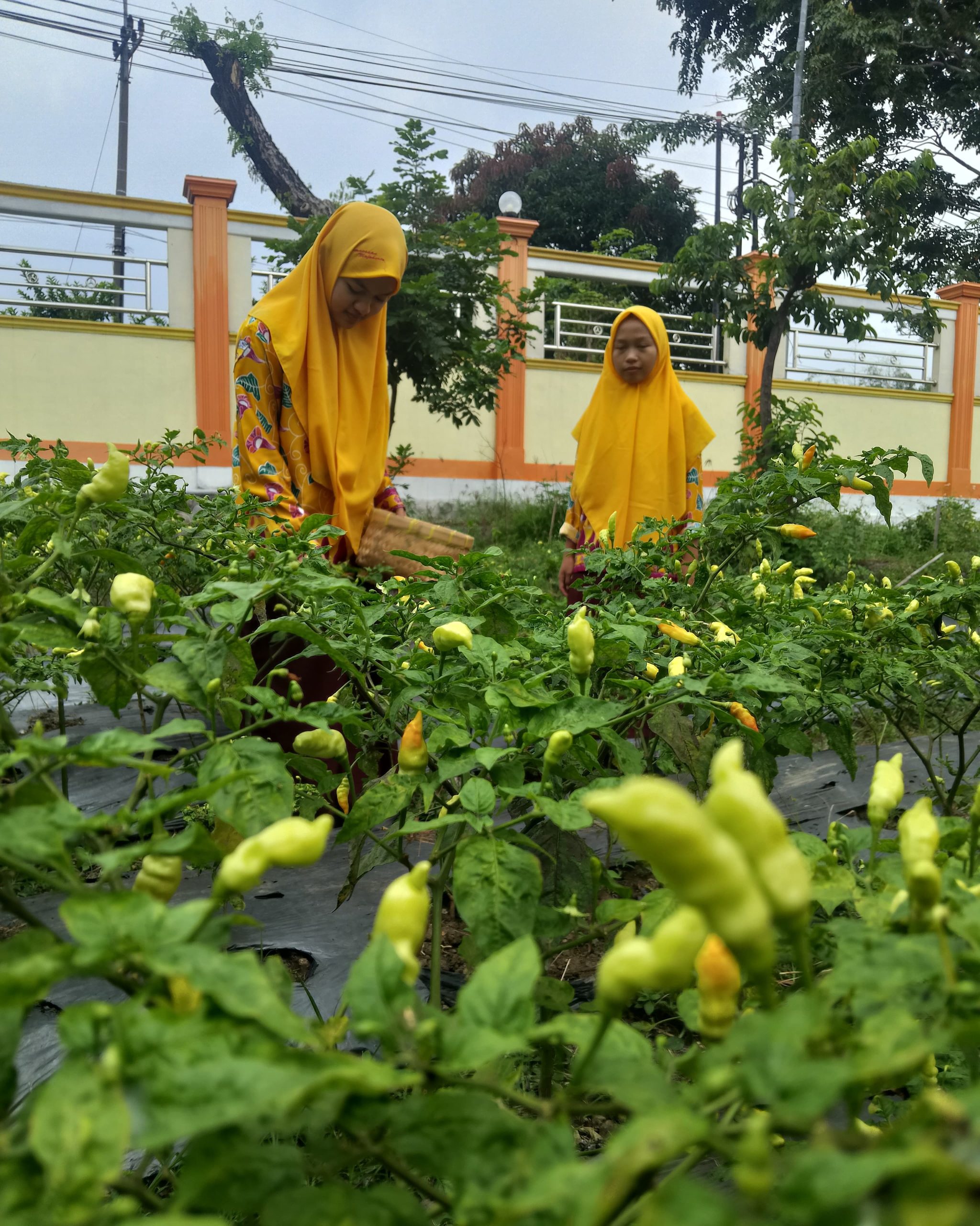 WhatsApp Image 2025-09-15 at 09.14.51