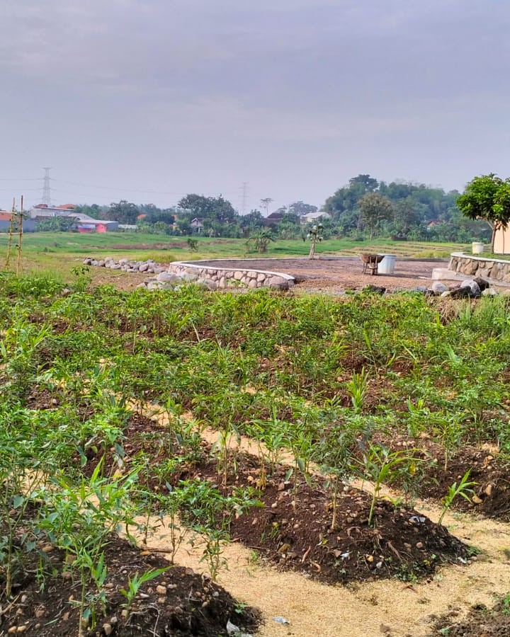 WhatsApp Image 2025-09-15 at 09.17.34